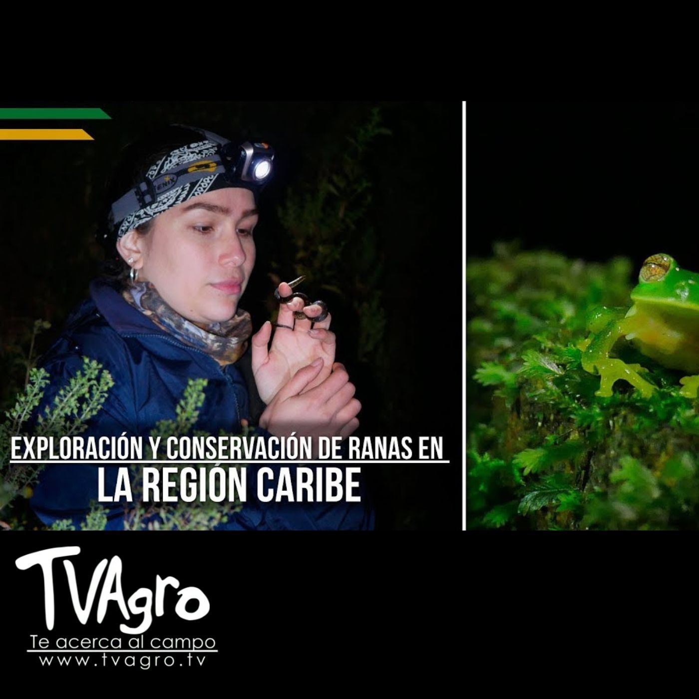 TV AGRO