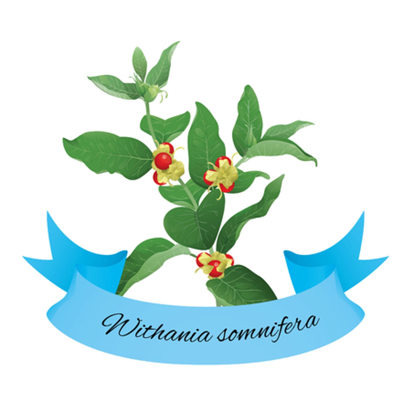 Sperb\'s Herbs Podcast