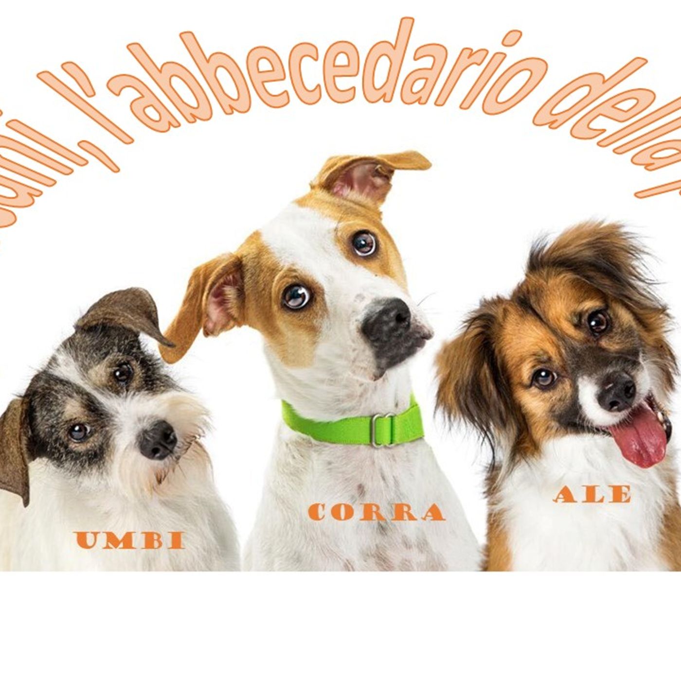 Reunion I TRECCANI