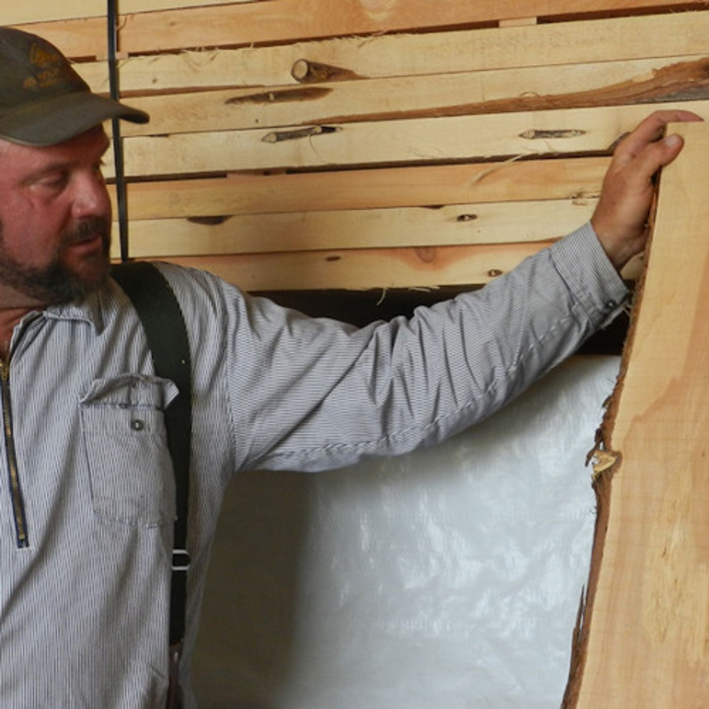 In The High Desert, A Sustainable Mill Targets A Thirsty Tree episode artwork