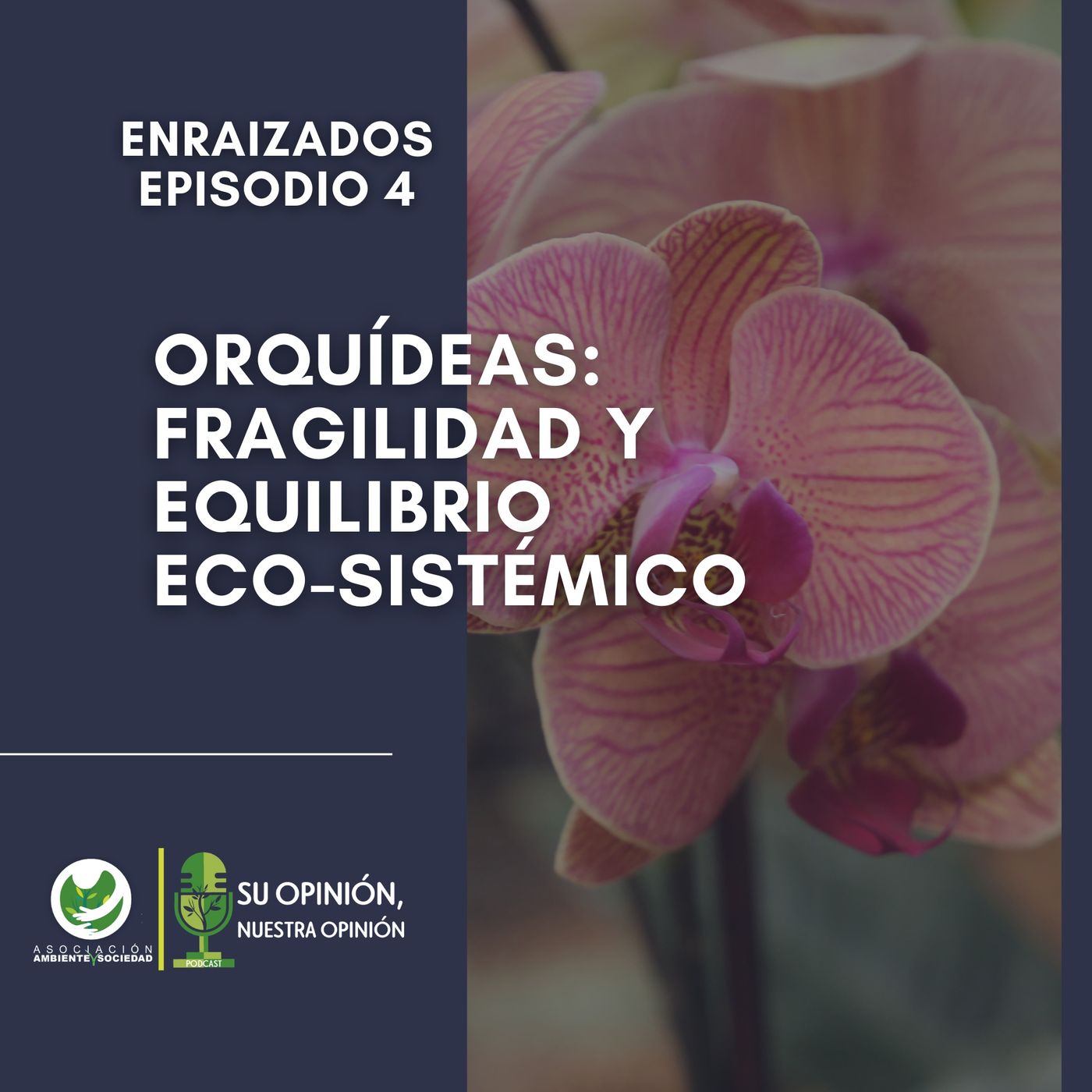 Ambiente y Sociedad