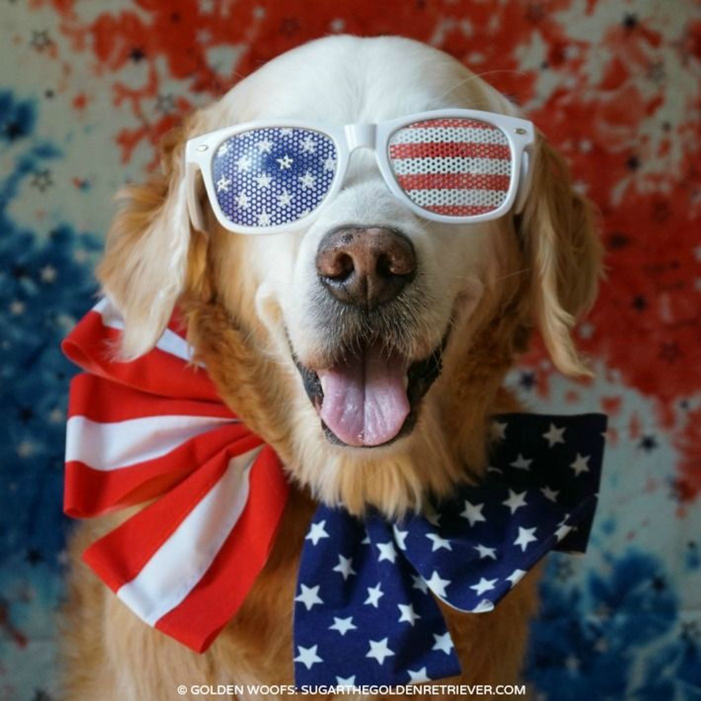 TNN RADIO | 4th of July 2021 episode artwork