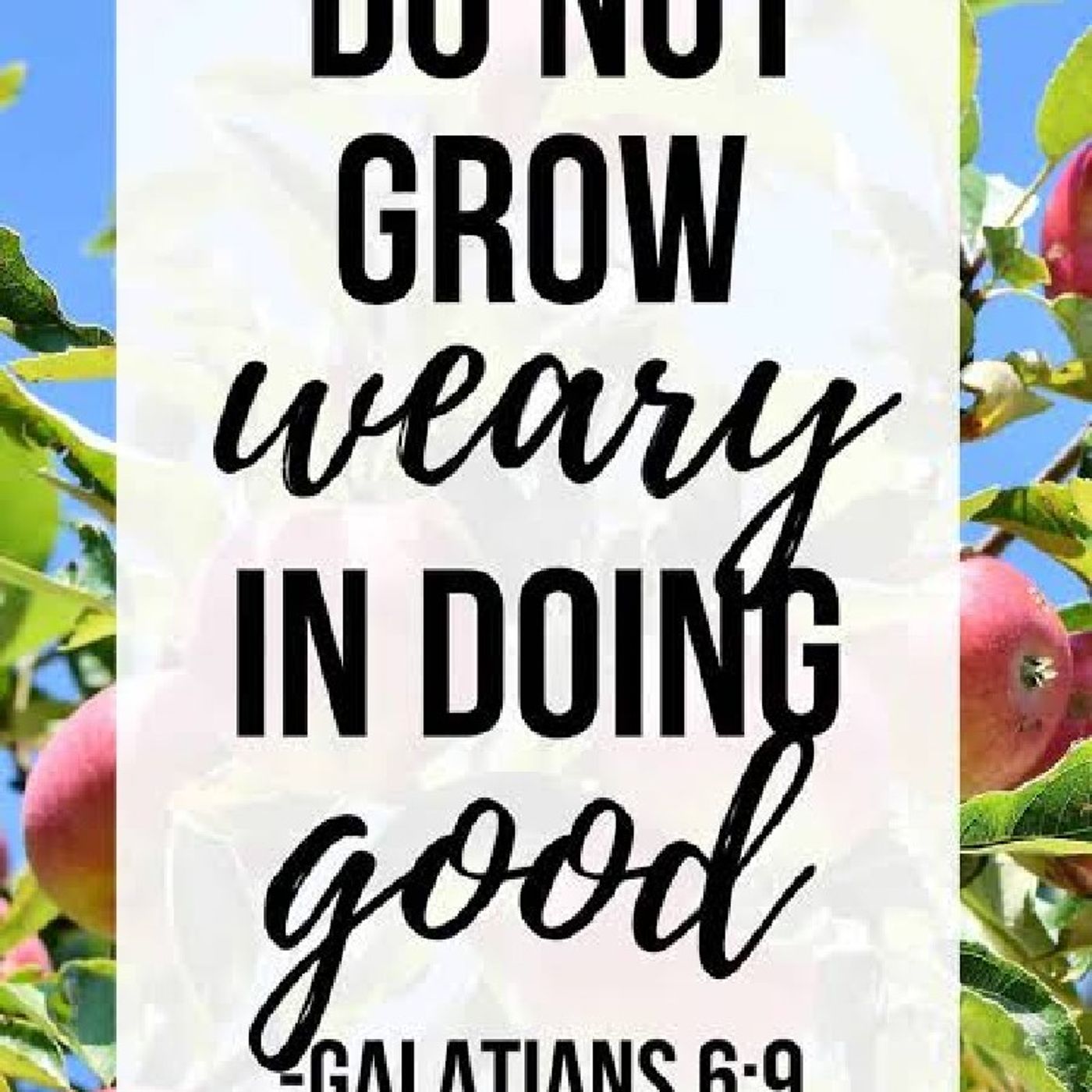 Do not be weary in doing good: Episode 828 - Preachify Daily Devotion episode artwork