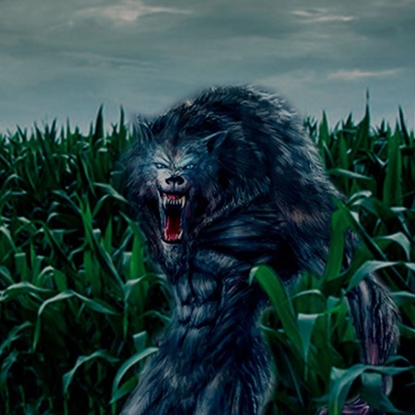 El Plantío Historias De Terror - REDE