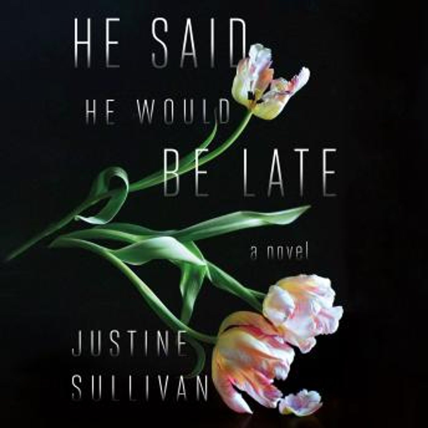 Explore New Full Audiobooks in Fiction, Contemporary Women