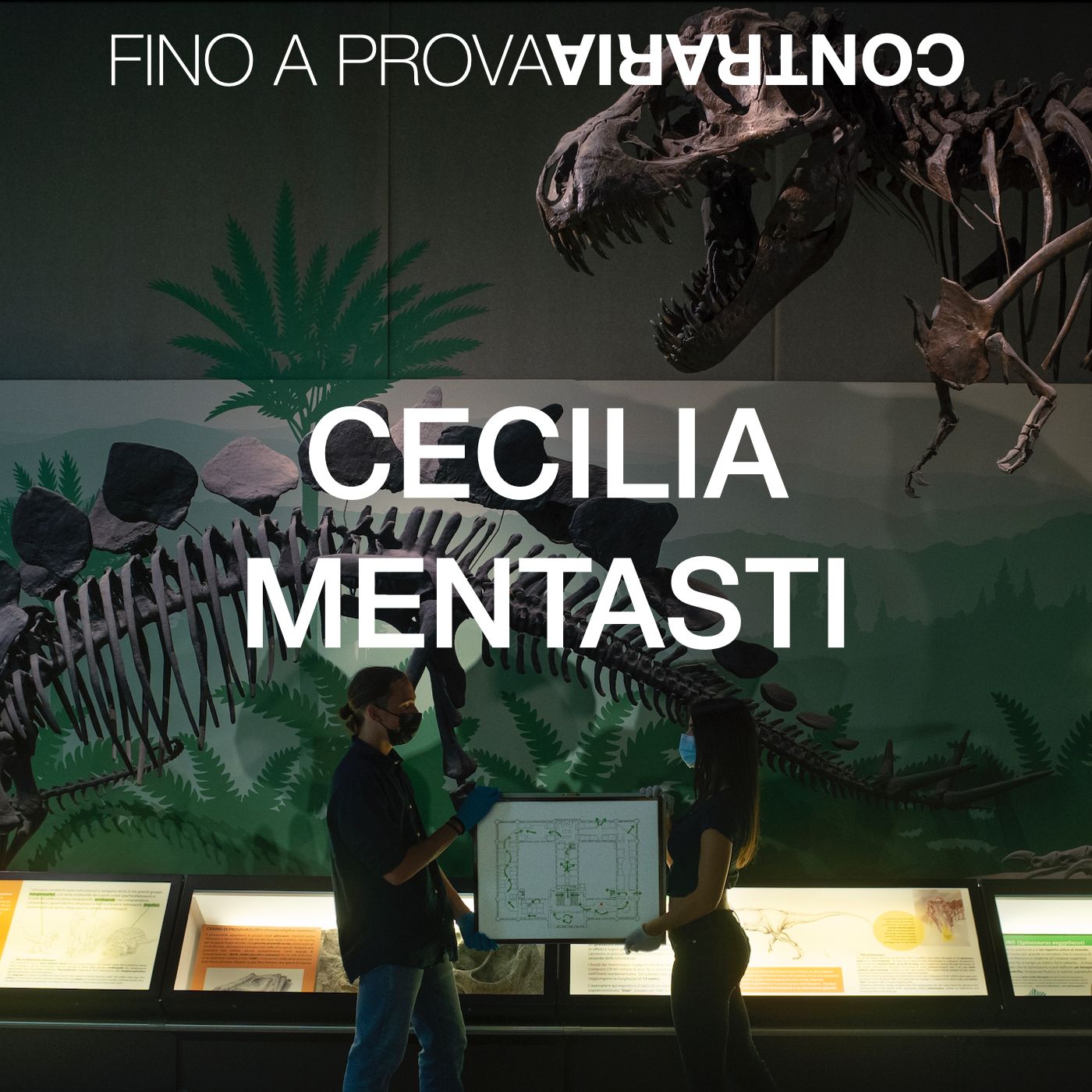 St.1 Ep.6 Safari | Cecilia Mentasti