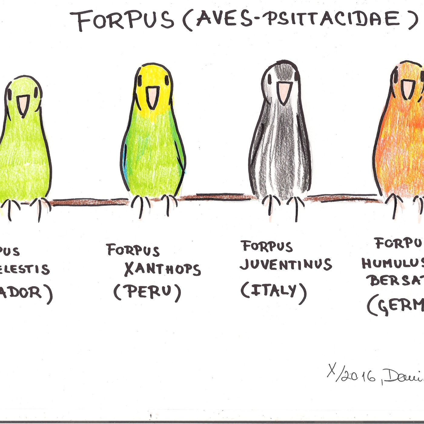 Parla Daniela III-2026 : I dolci vicentini Parla Daniela III-2026 : I dolci vicentini