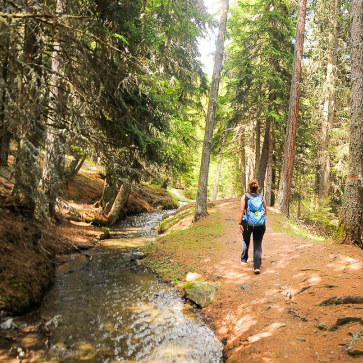 Passaggi a Nord Ovest