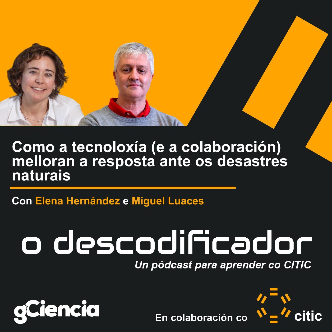 O Descodificador