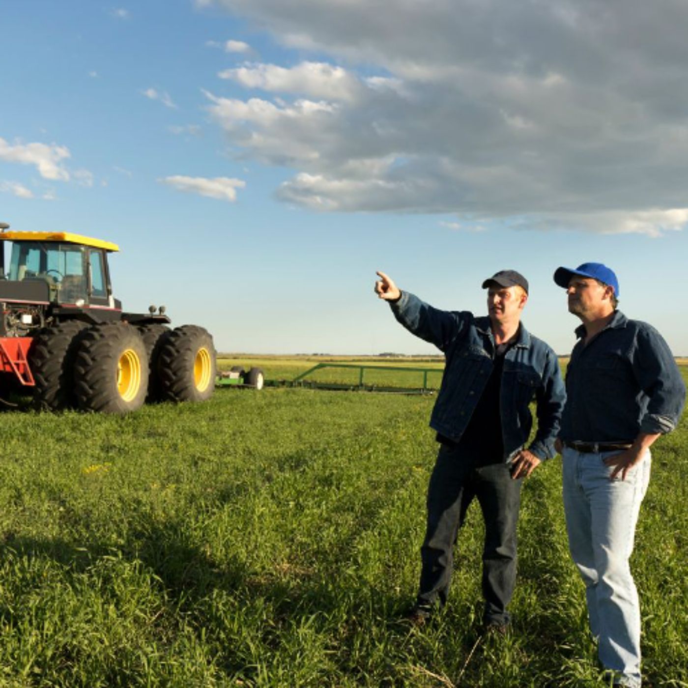Seed, Feed and Faith: The Unexpected Network Supporting Farmers' Mental Health episode artwork