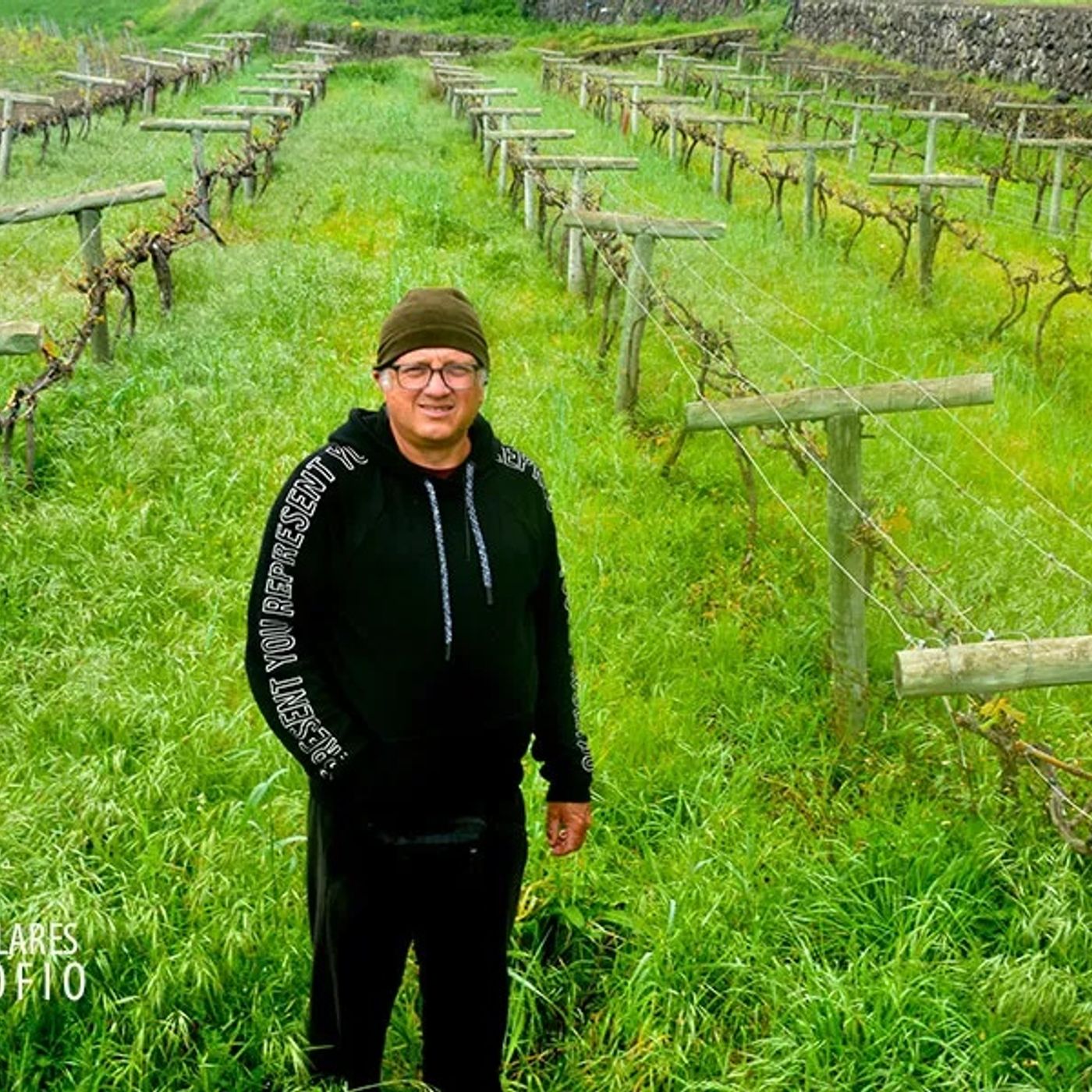 Vino al Natural