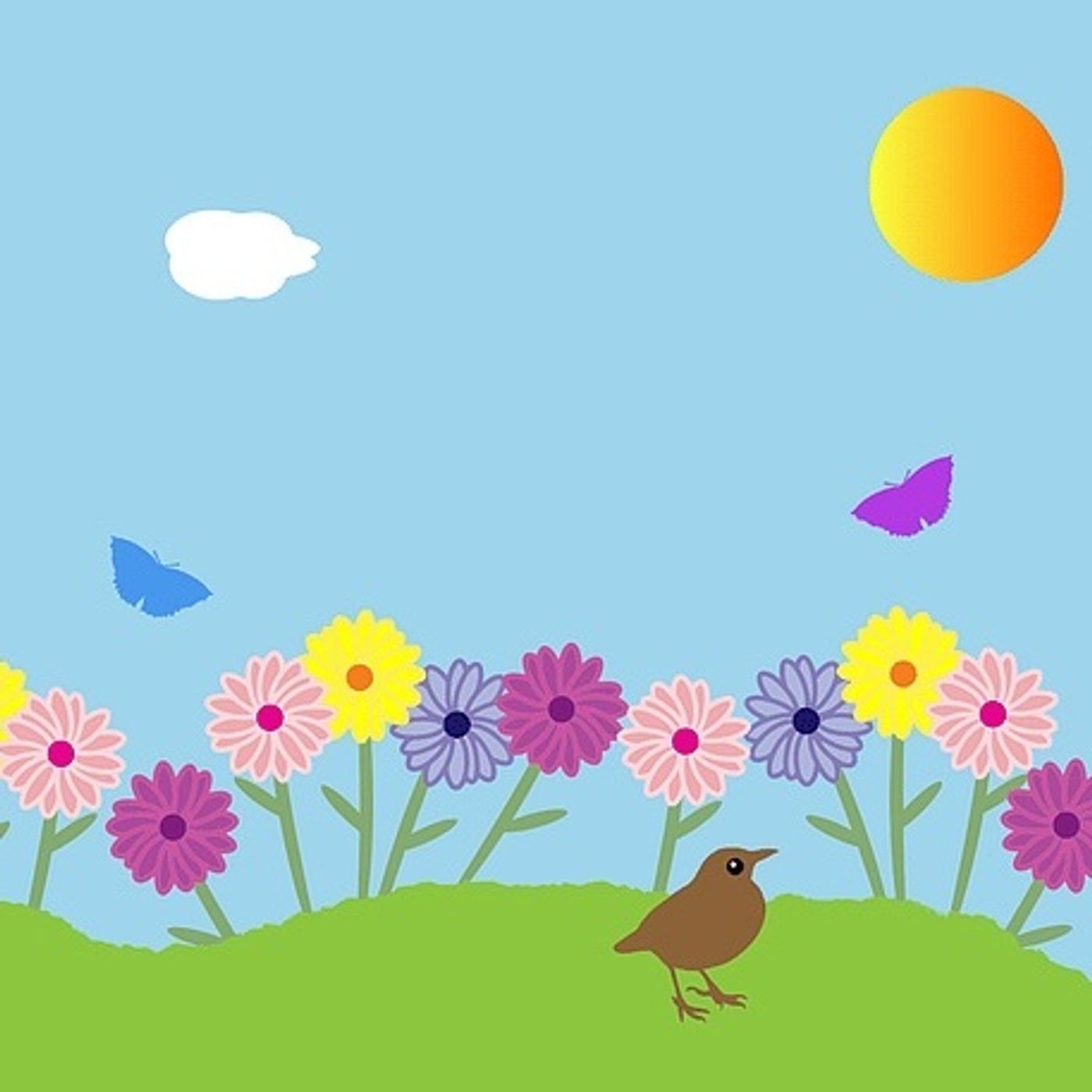 De kleine plant | Verhalen Over Planten episode artwork