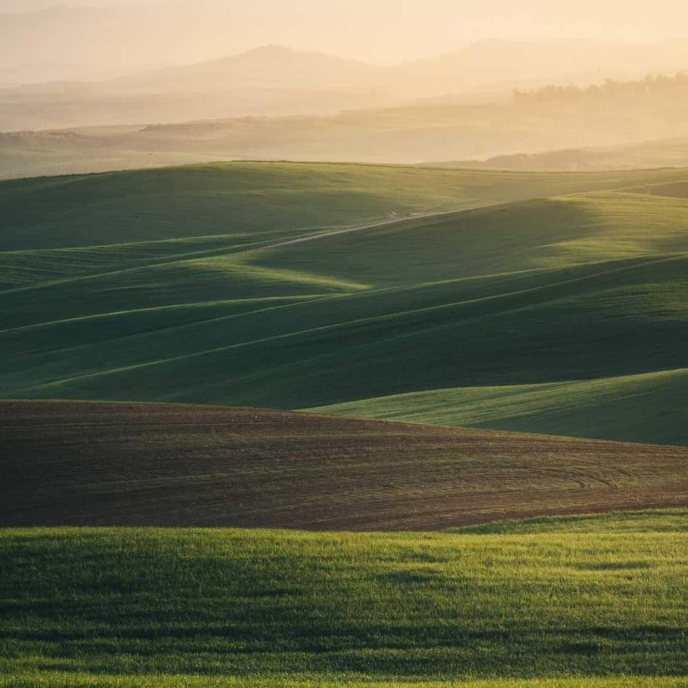 QUARESIMA: 40 giorni di sfide e di pace