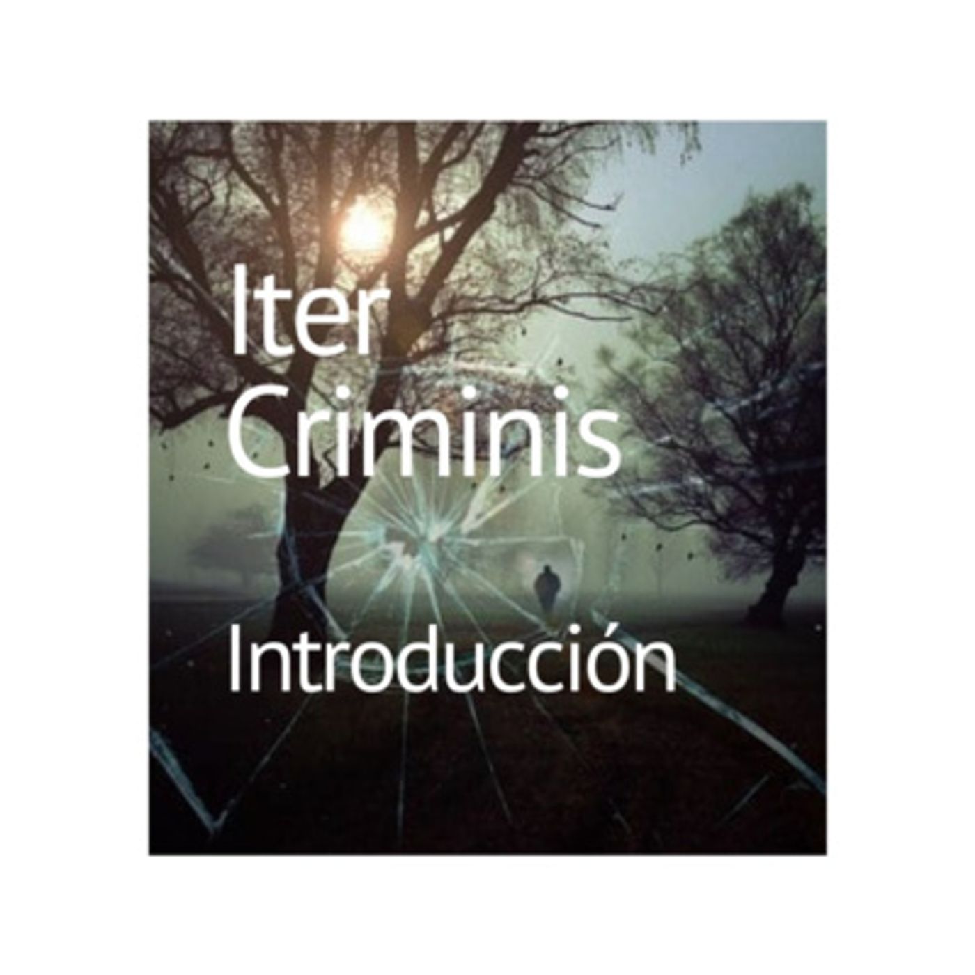 Iter Criminis. Camino al Delito. Introducción
