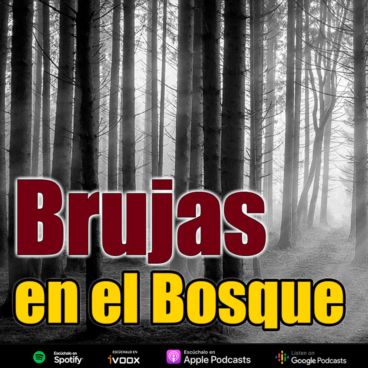 Brujas en el bosque