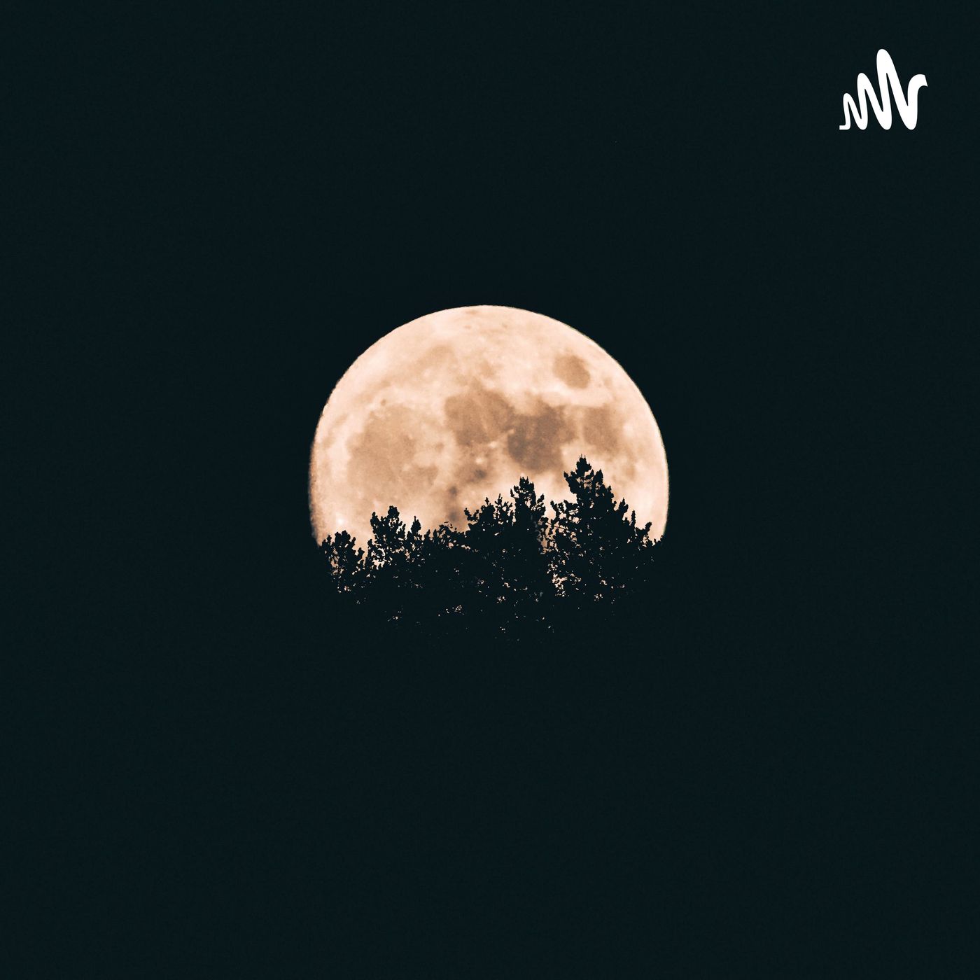 En El Lado Oscuro De La Luna