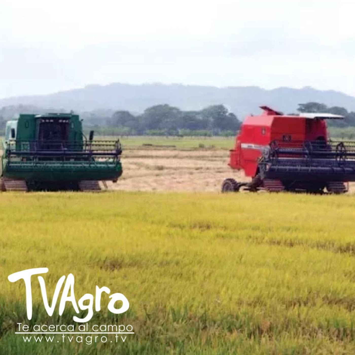 TV AGRO