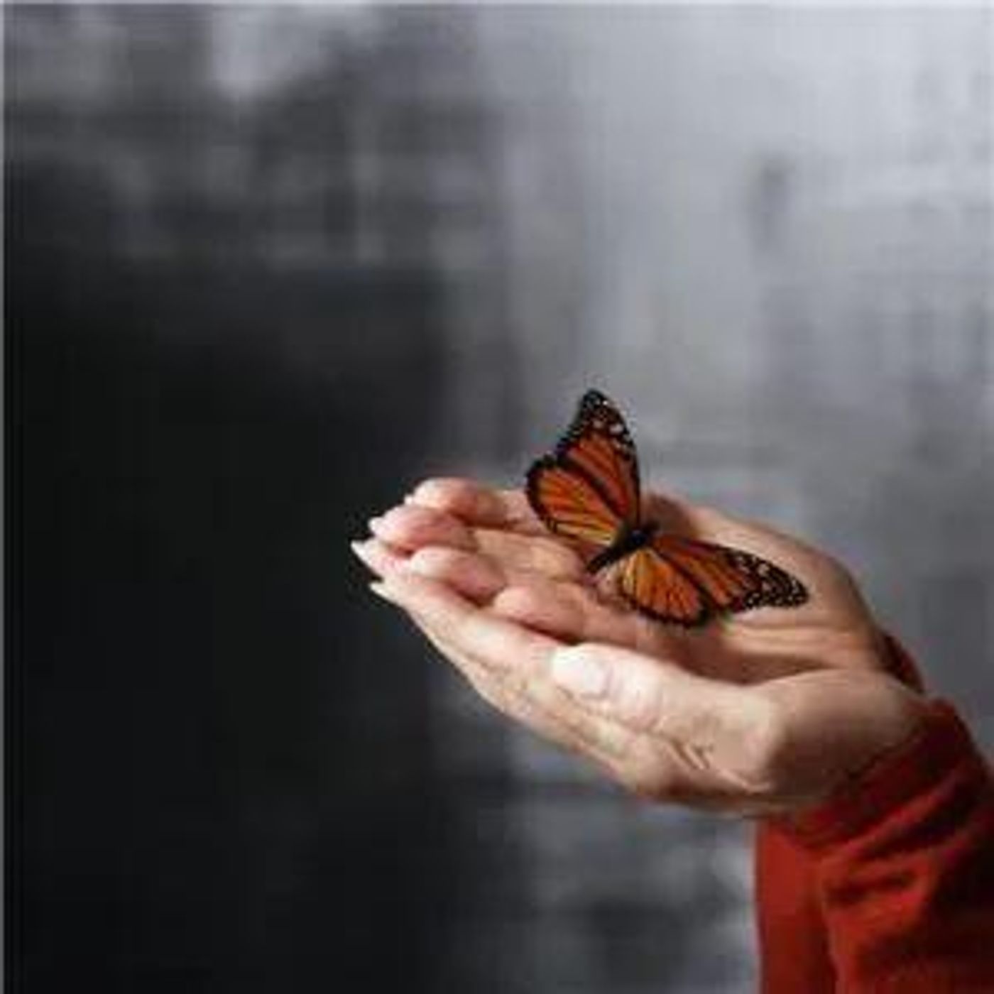 The Becoming You Show with Leah Roling: From Potential to Proof