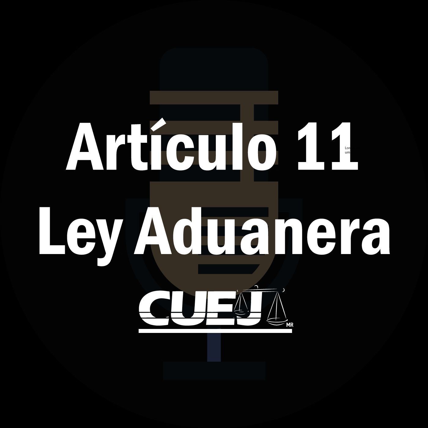 Audio Ley Aduanera