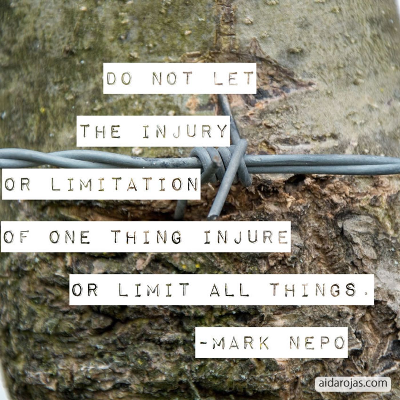 Not Let The Injury Or Limitation Of One Thing Injure or Limit All Things