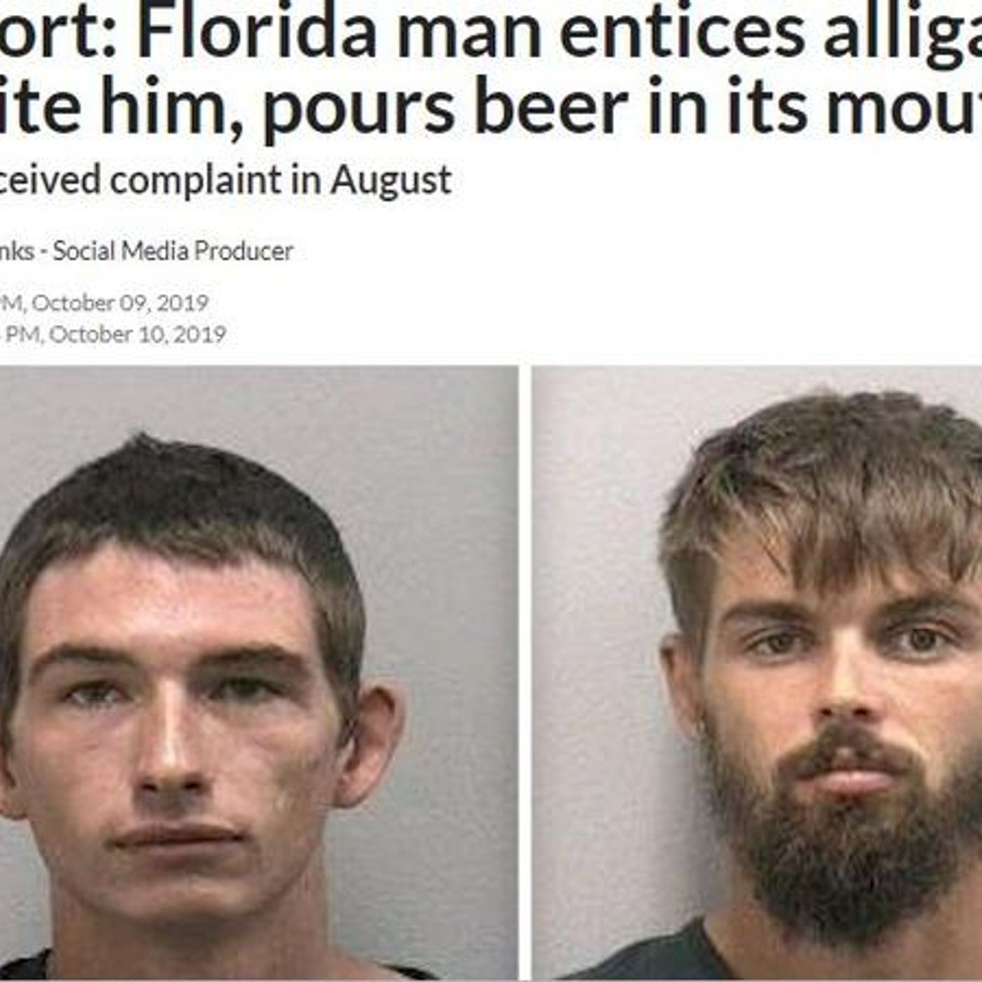 Mr. William\'s LaborHood