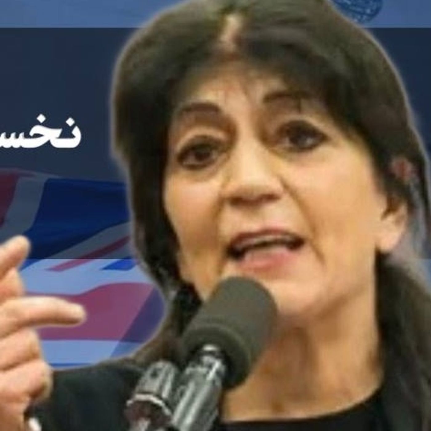 بحران‌های بی‌پایان: سال ۲۰۲۴ چه میراثی برای سال جدید باقی گذاشت؟| گفت‌وگو با یاسمین میظر