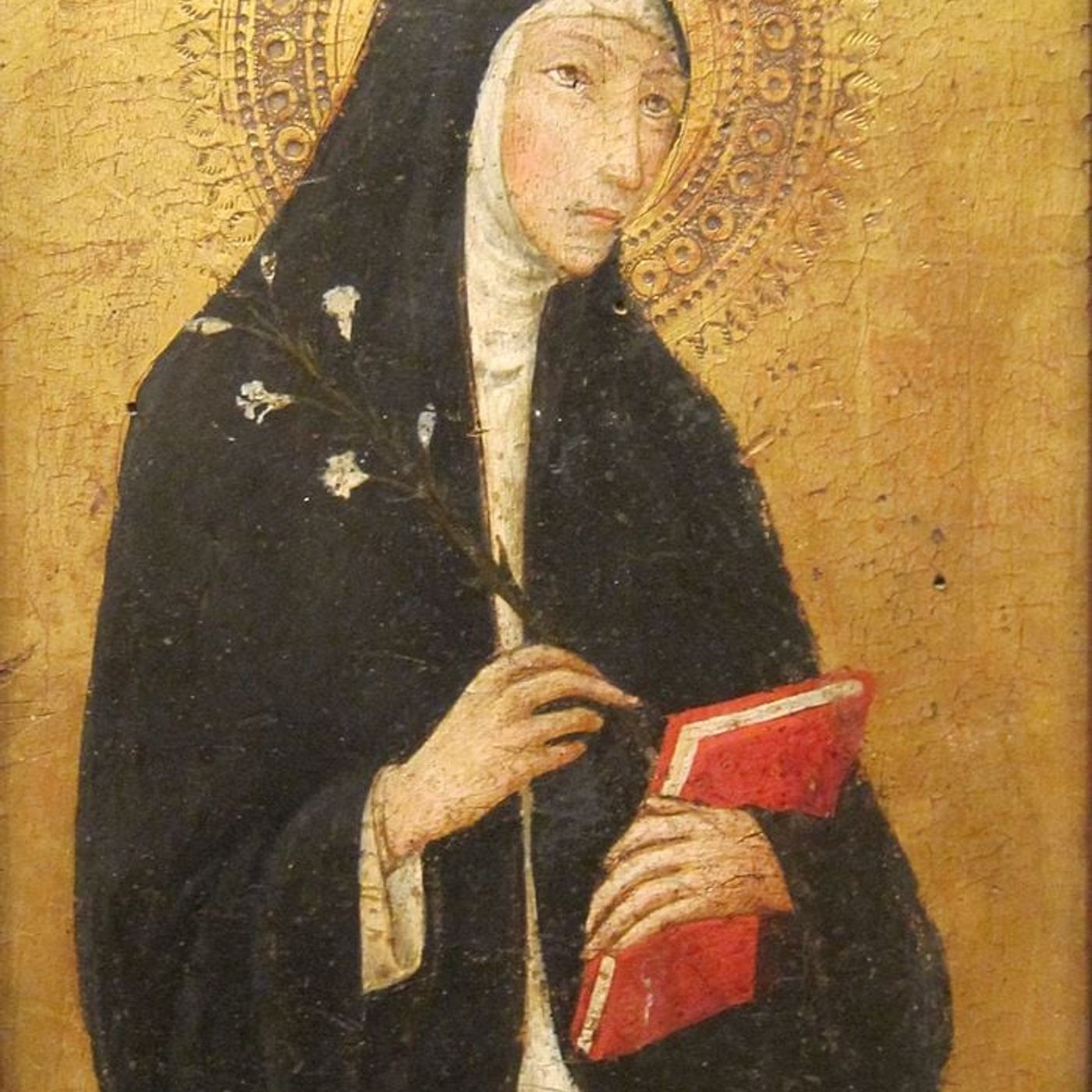 Catherine of Siena: a Mystical Union of Flesh