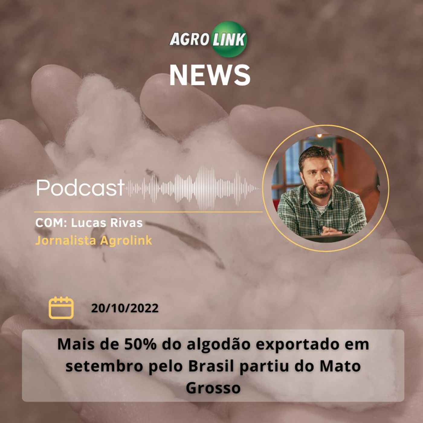 Puxado pelo milho, Porto de Paranaguá prevê exportar mais de 6 milhões de toneladas