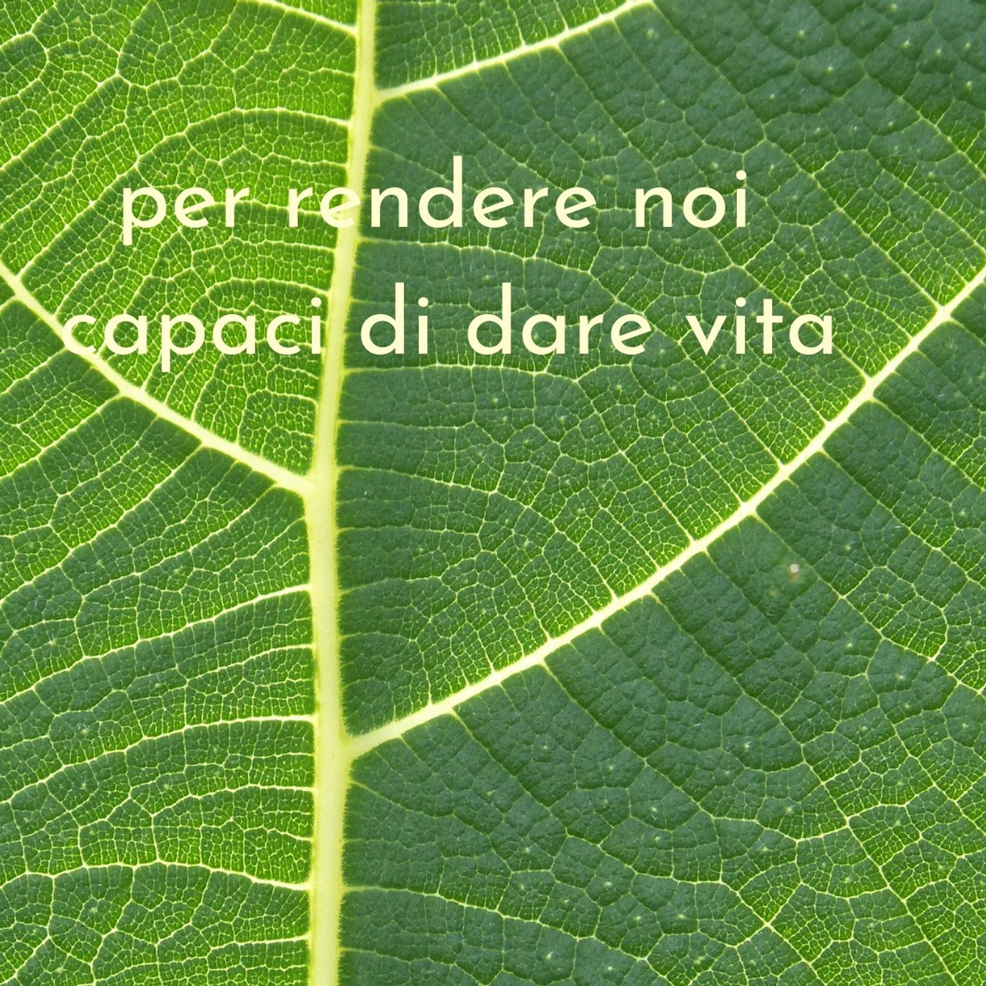 Commenti al Vangelo