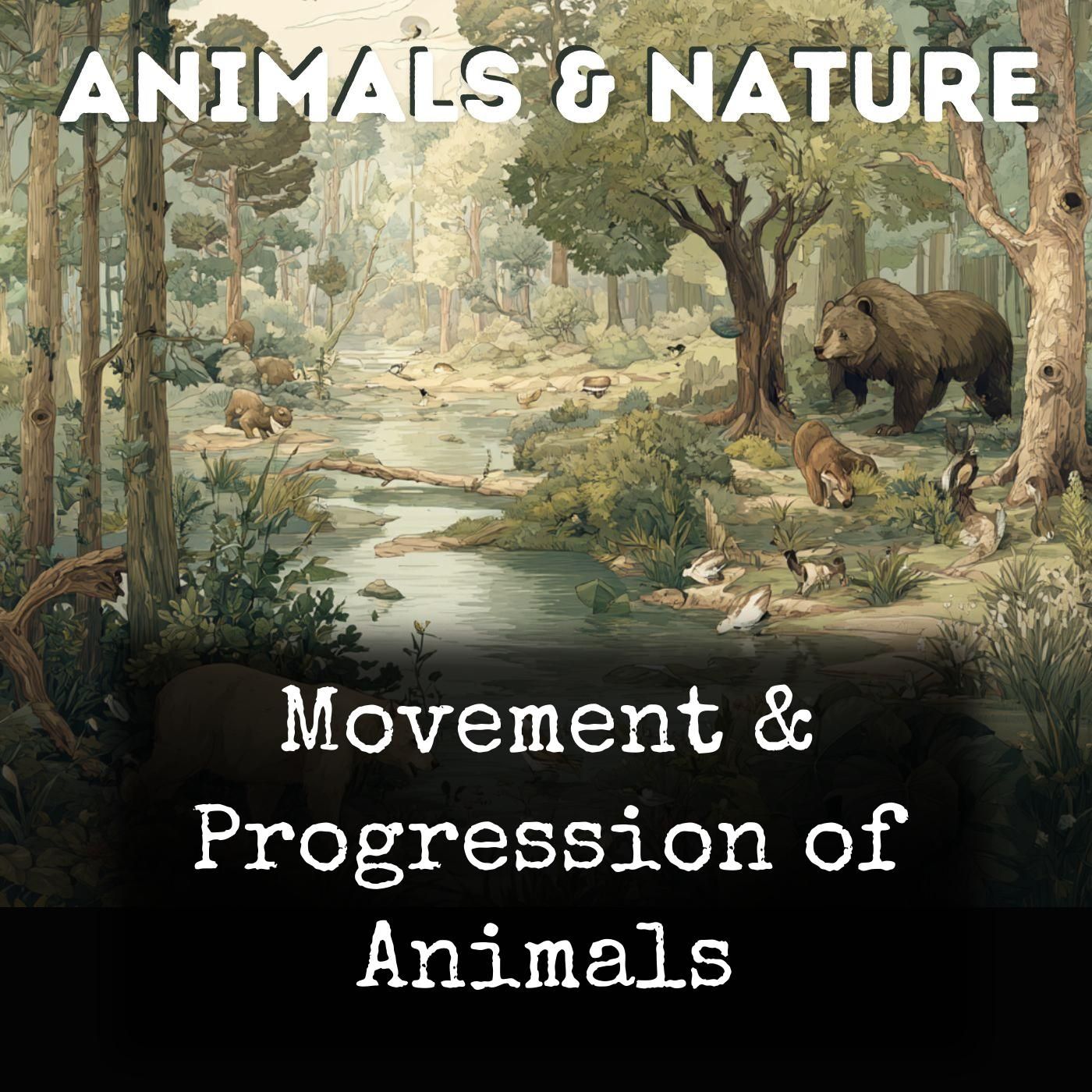 Movement & Progression of Animals cover art