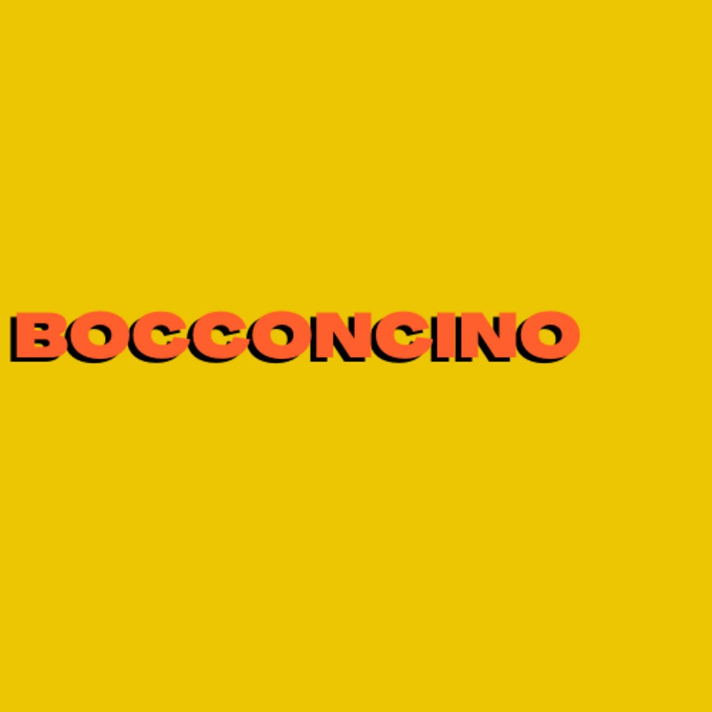 Bocconcino