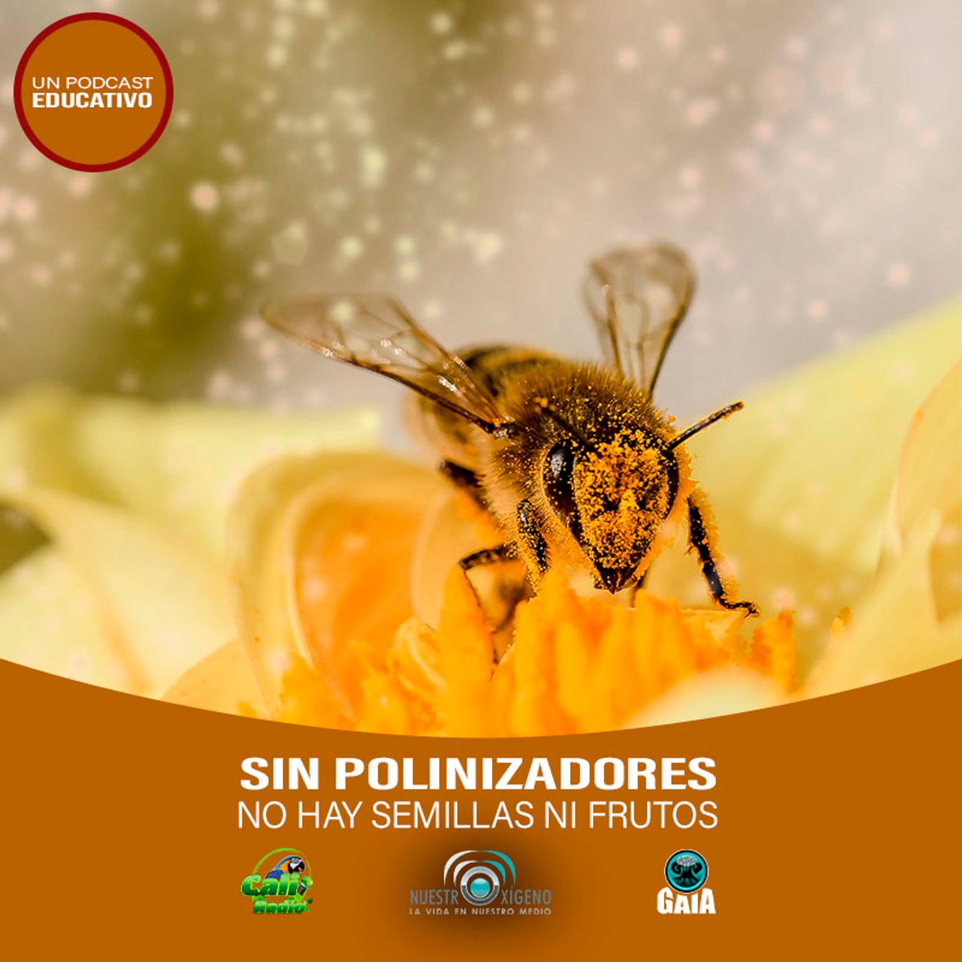 2023 Nuestro Oxigeno 01- Enero
