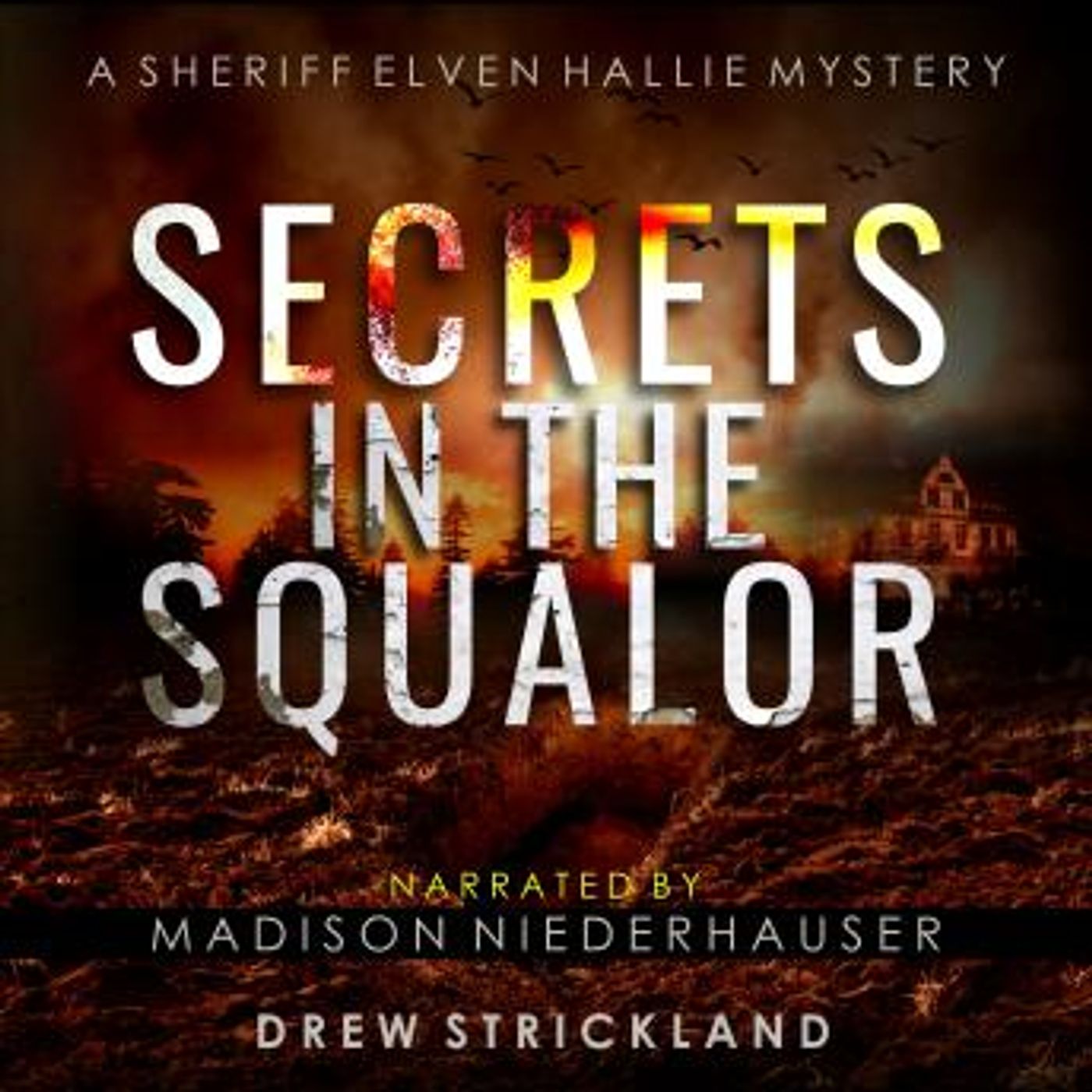 Find Best-Selling Full Audiobooks in Mystery, Thriller & Horror, Police & Detective