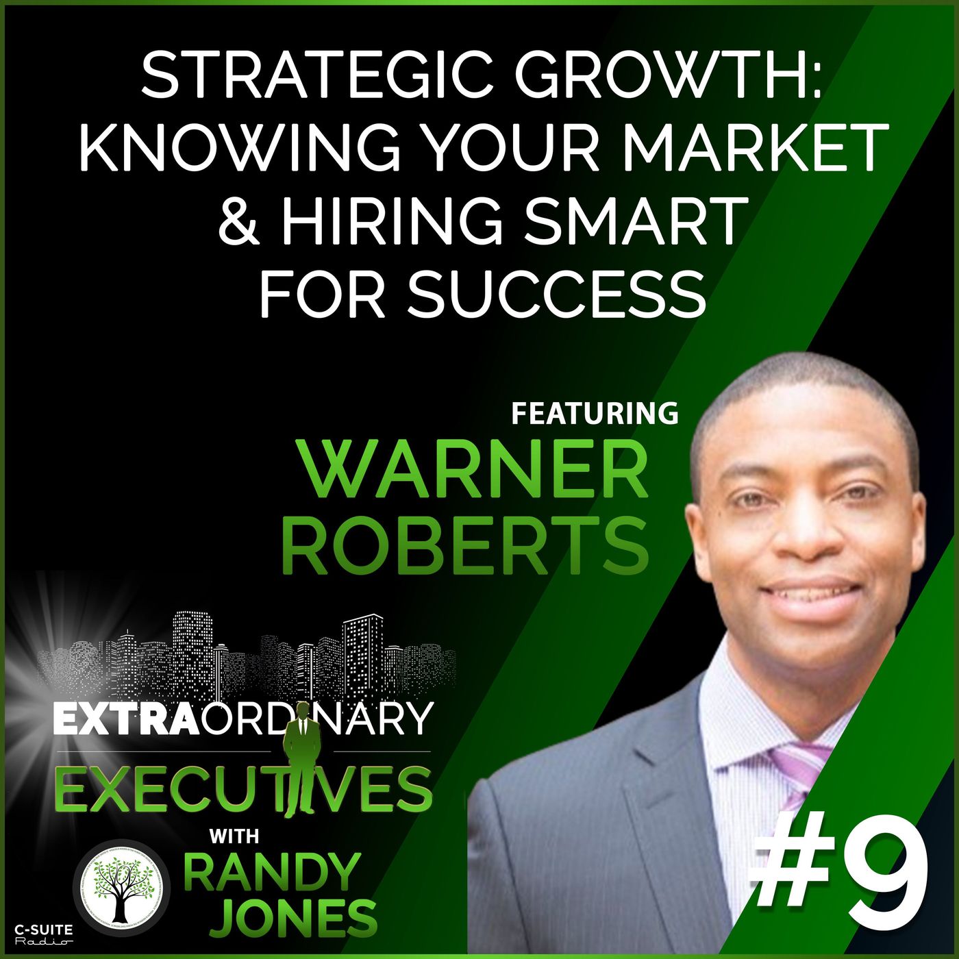Ep09: Strategic Growth: Knowing Your Market and Hiring Smart for Success episode artwork