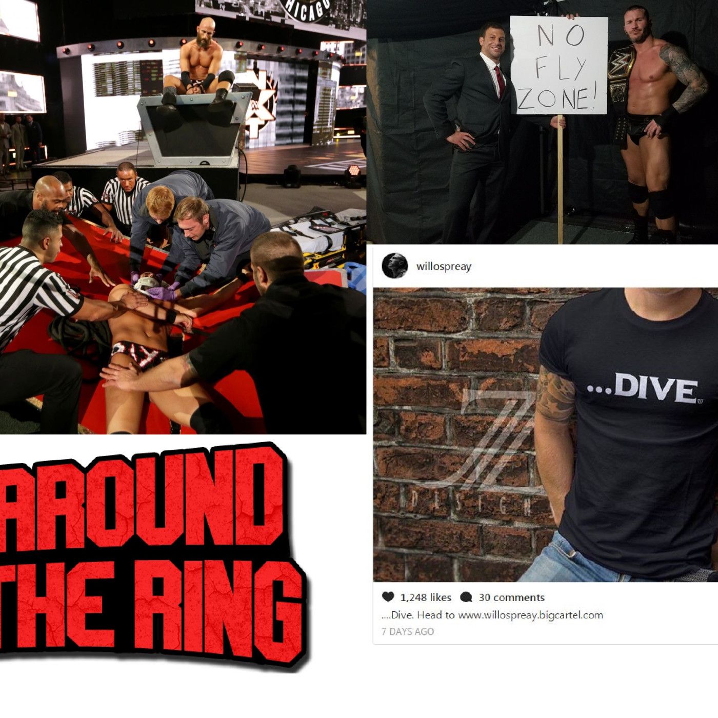 ATR # 96: Orton & the Indies, TakeOver Review, Backlash Preview episode artwork