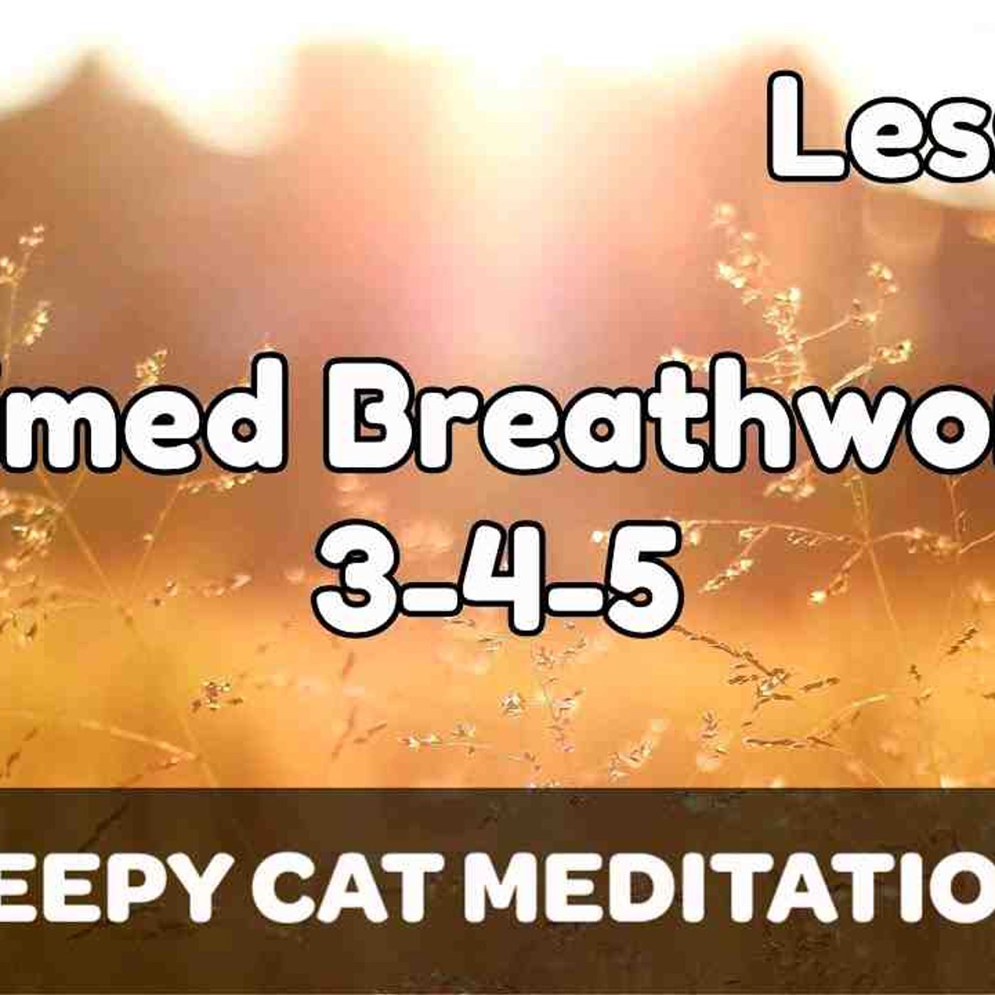 Lesson 3_ Patterned Breathing 3-4-5 Technique (Beginner Breathwork Course)