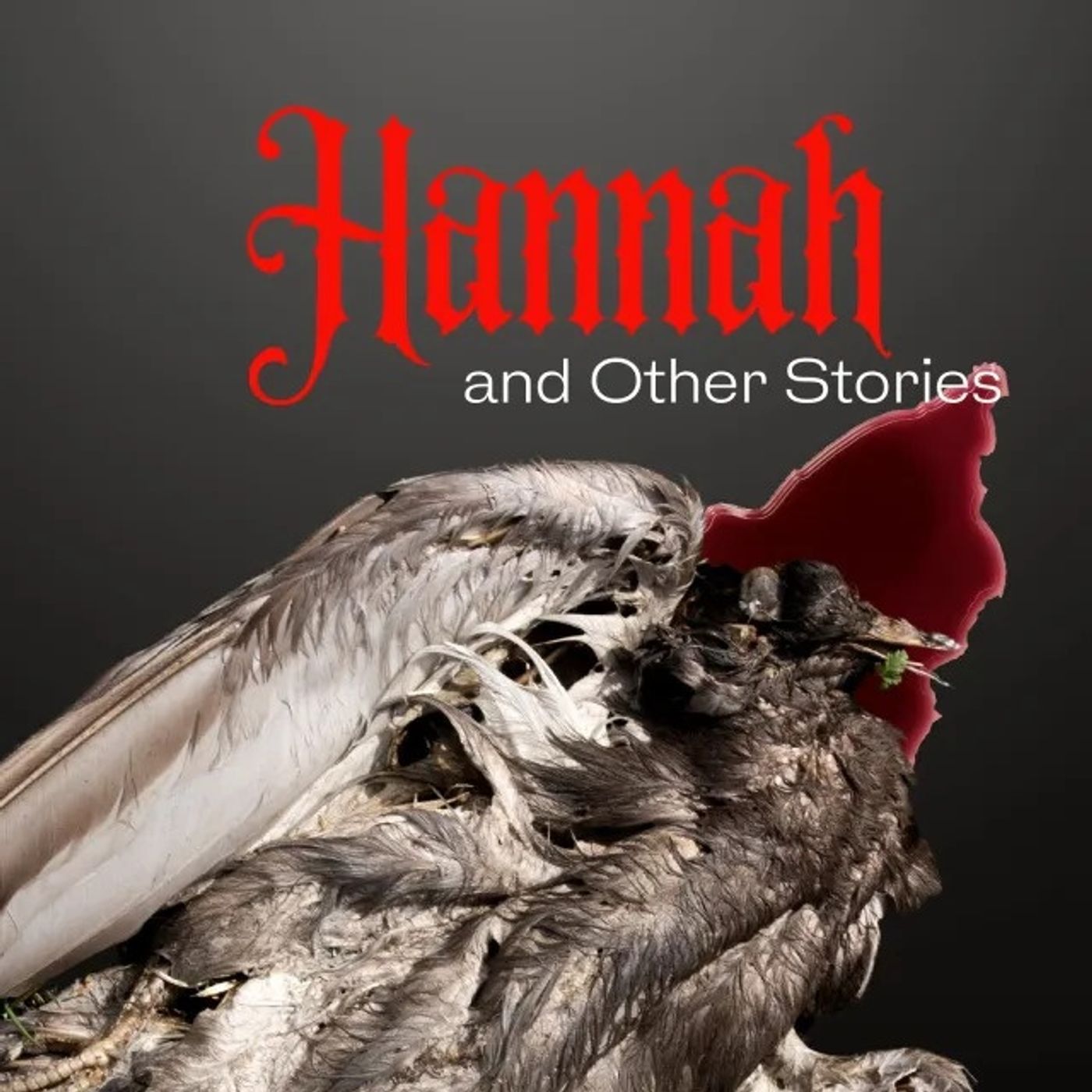 cover of episode Castle Talk: Rami Ungar, author of the new collection HANNAH AND OTHER STORIES