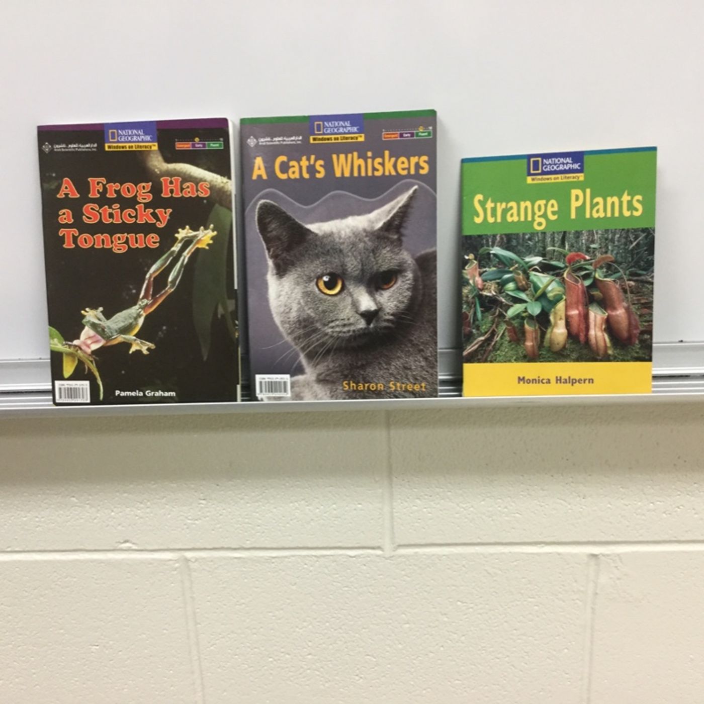The After School Book Club Show