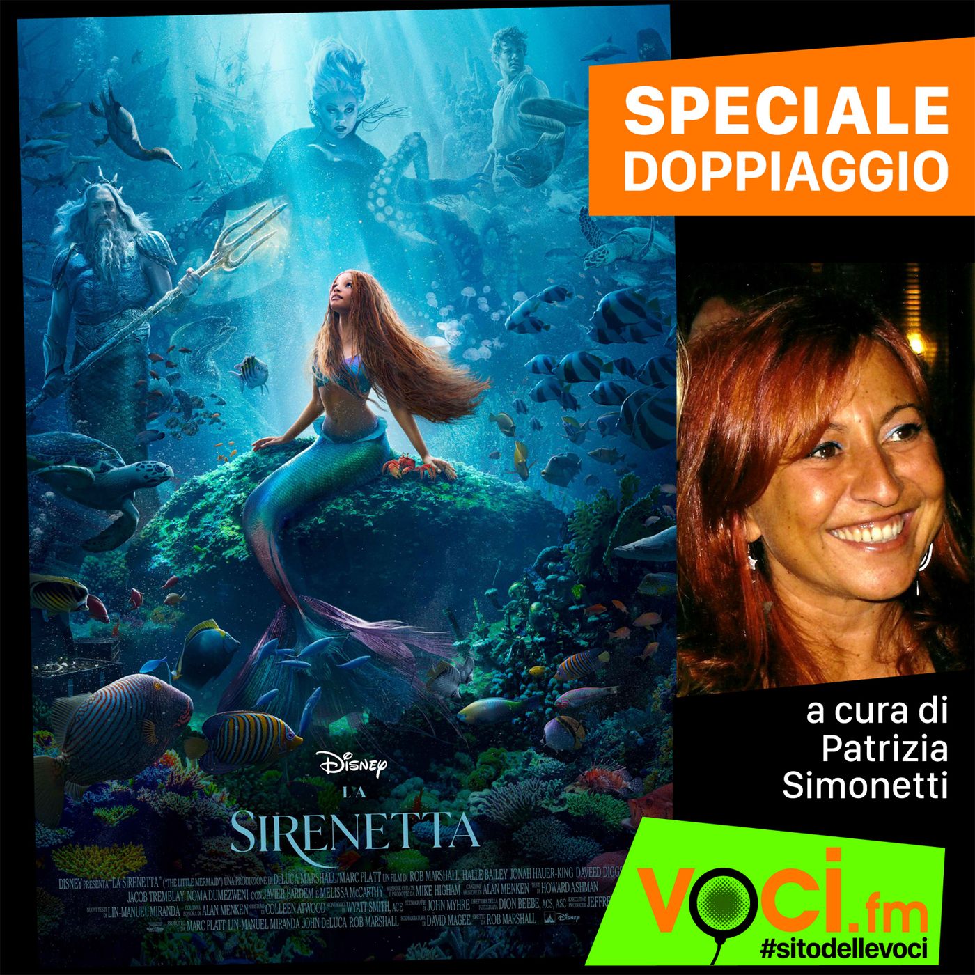 Speciale "LA SIRENETTA" (i doppiatori) su VOCI.fm - clicca PLAY e ascolta il podcast episode artwork