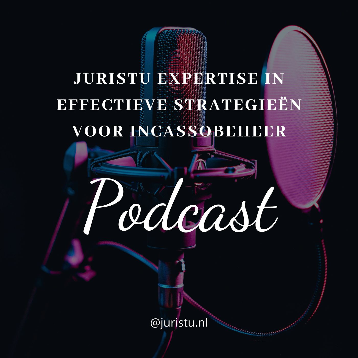 Juristu Expertise in Effectieve Strategieën voor Incassobeheer Juristu Expertise in Effectieve Strategieën voor Incassobeheer