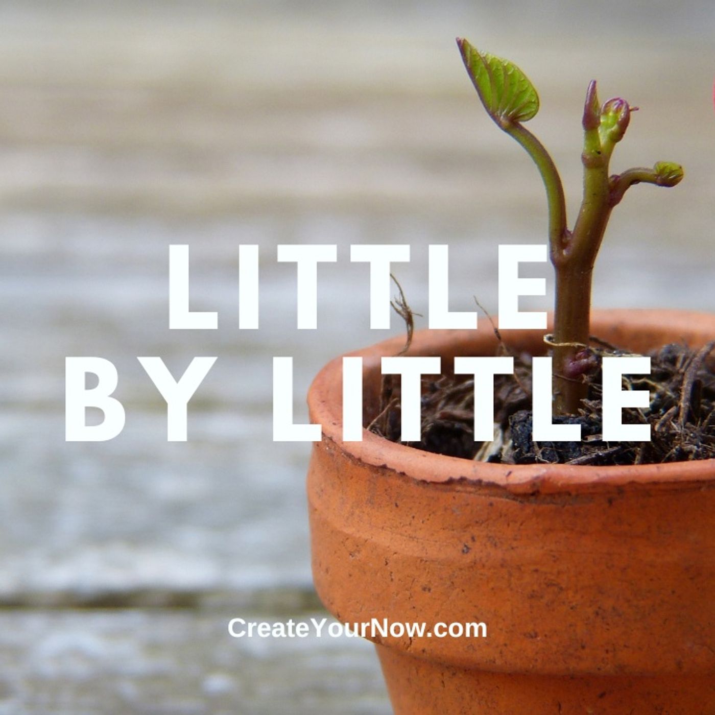 Create Your Now ~ Your Best Selfie