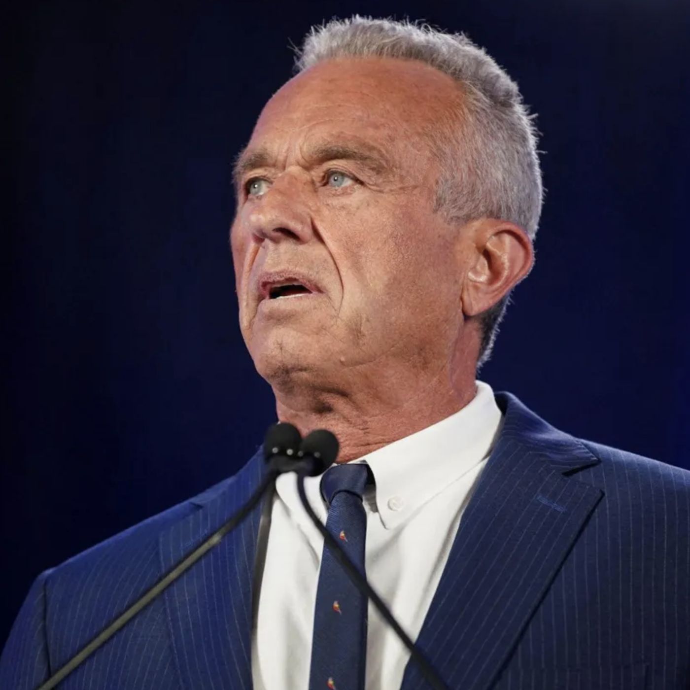 DDD 403: RFK Jr. Suspends campaign, endorses Trump + Headlines