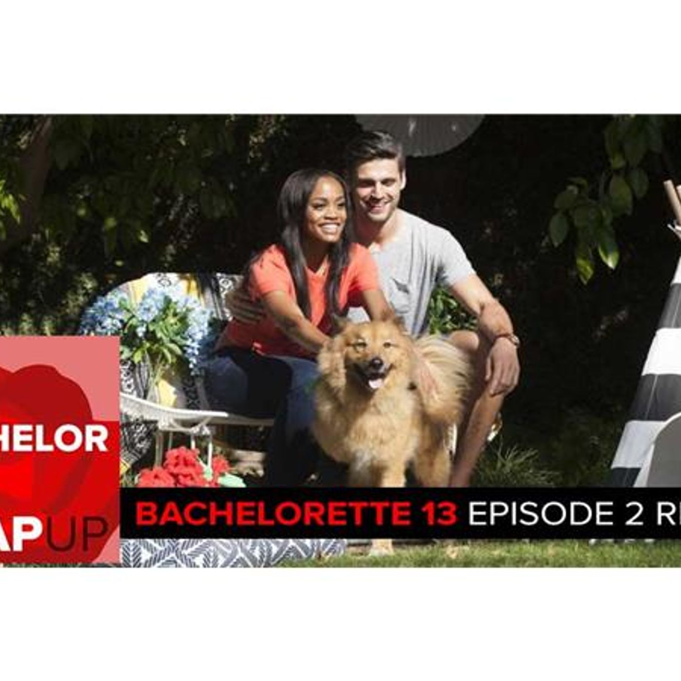 The Bachelor Reality TV RHAP-ups