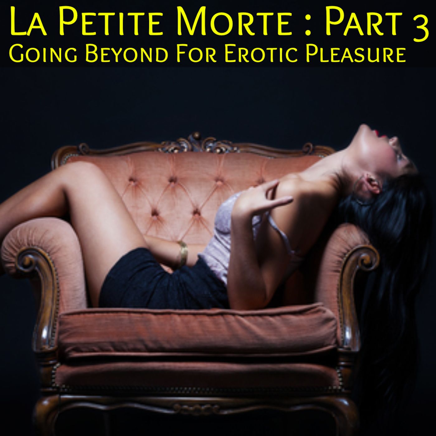 La Petite Morte: Part 3 - A Dark Paranormal Erotica Going beyond for Erotic Pleasure