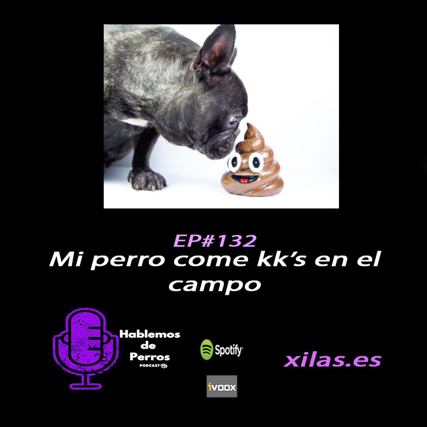 Hablemos de perros