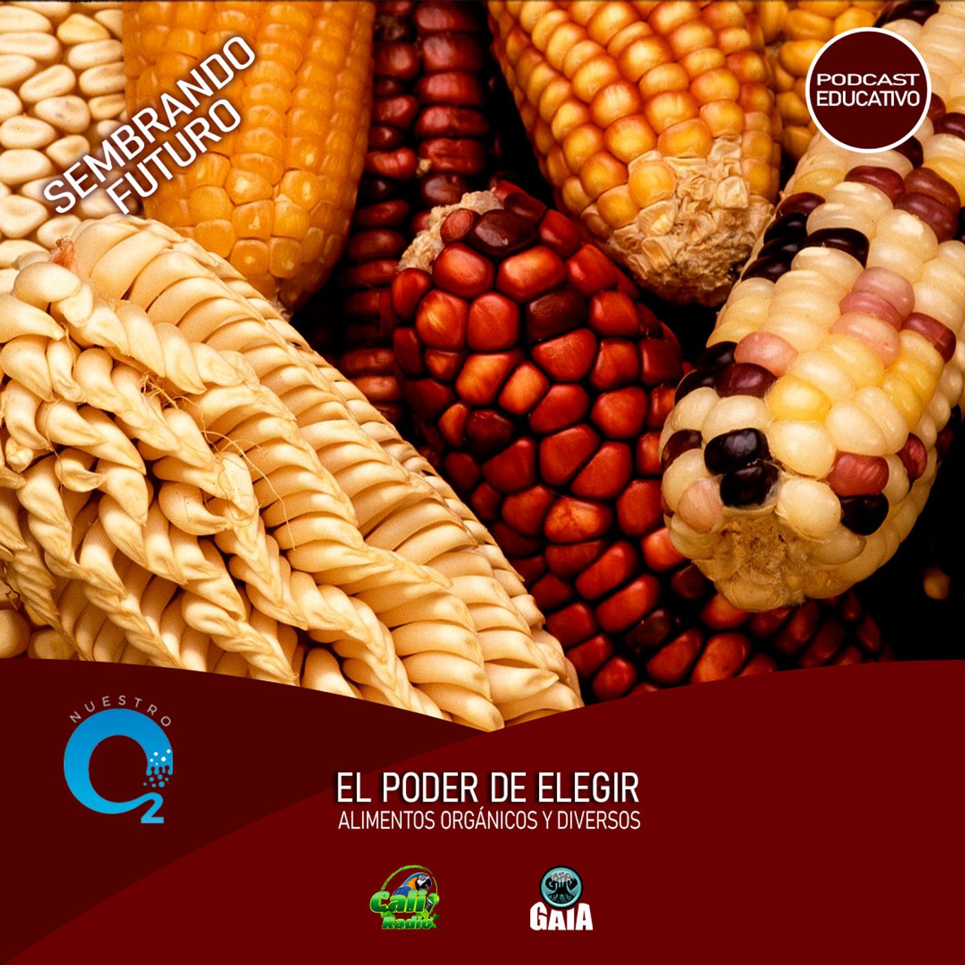 NUESTRO OXÍGENO Sembrando futuro, el poder de elegir alimentos orgánicos y diversos episode artwork