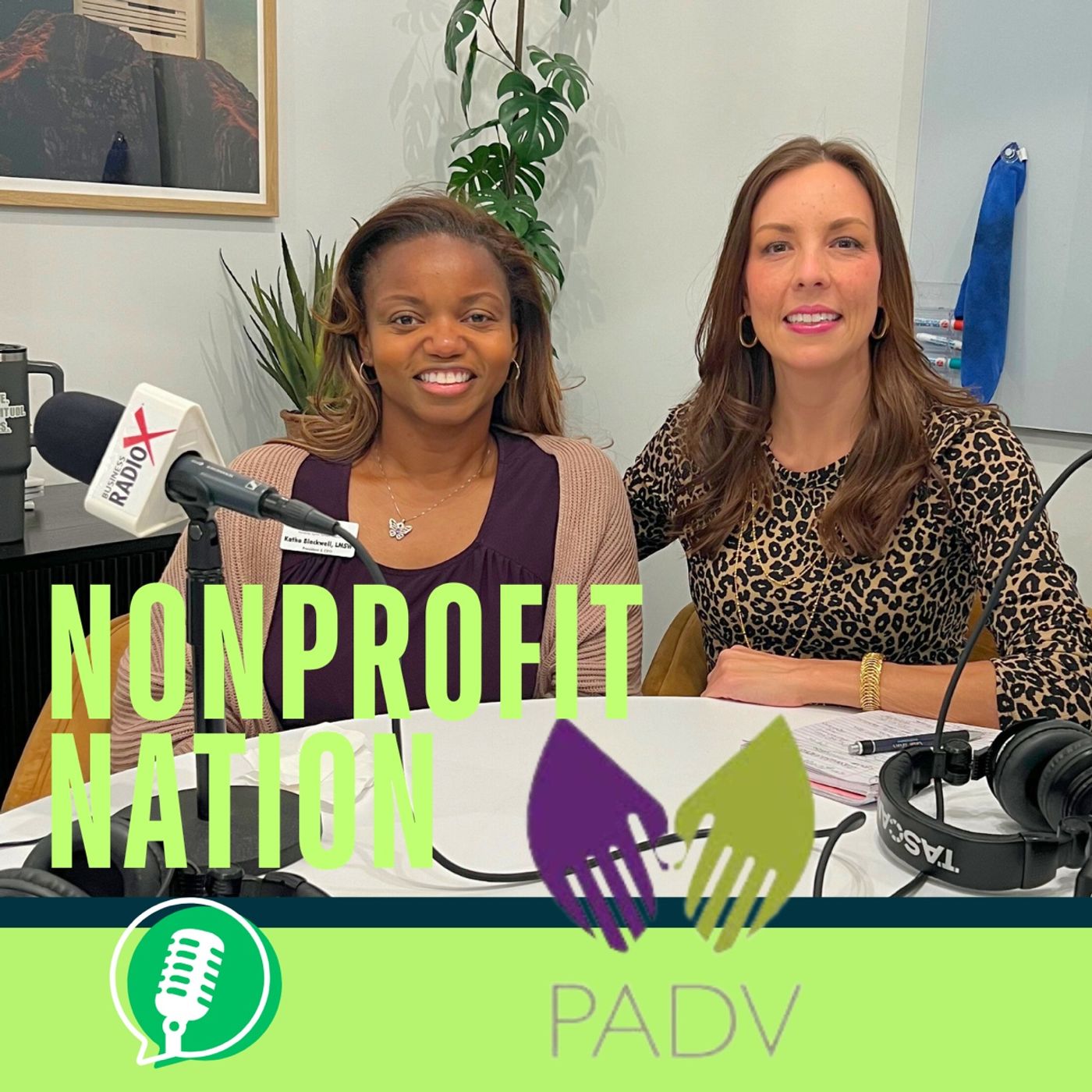 Partnership Against Domestic Violence on Nonprofit Nation