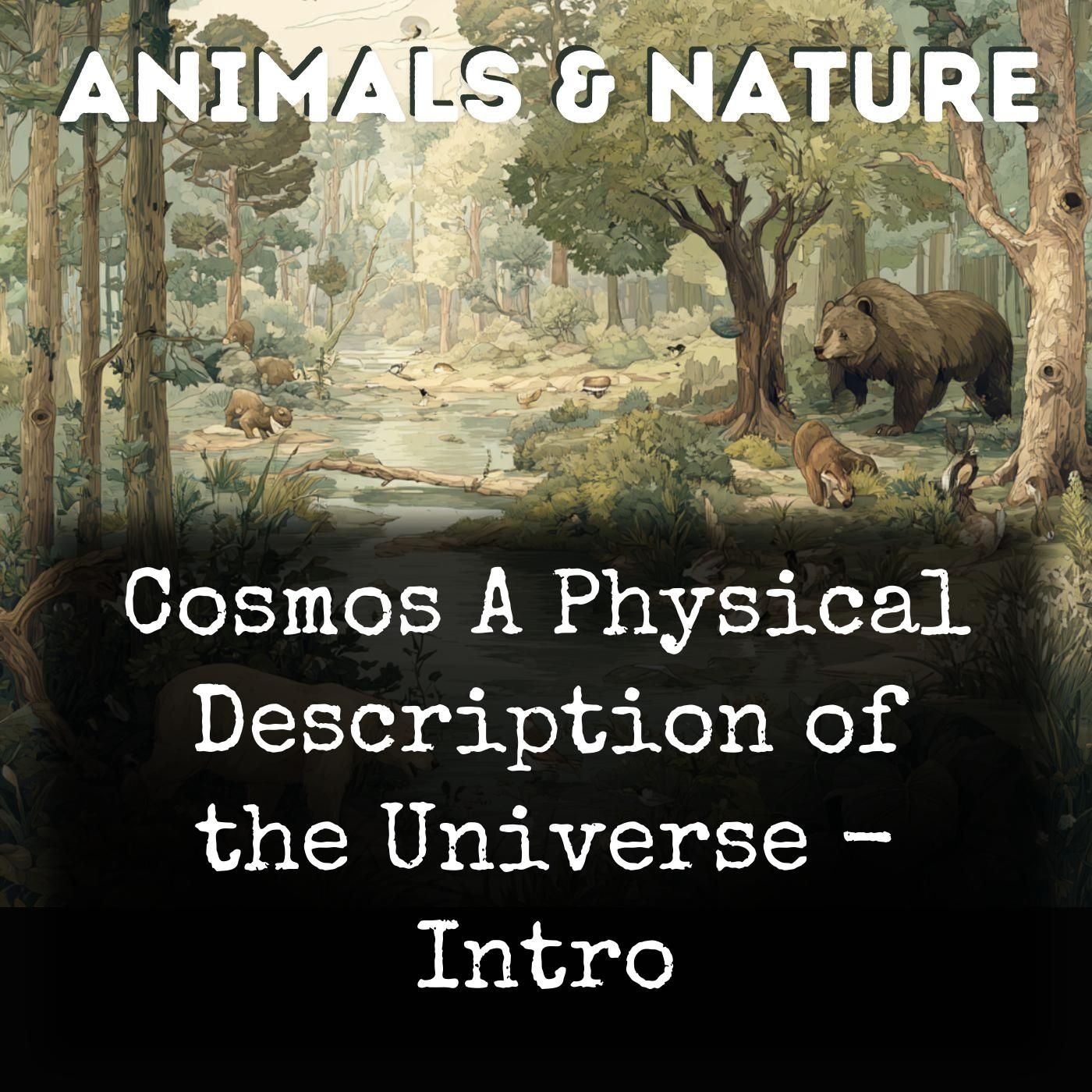 Cosmos A Physical Description of the Universe - Intro cover art