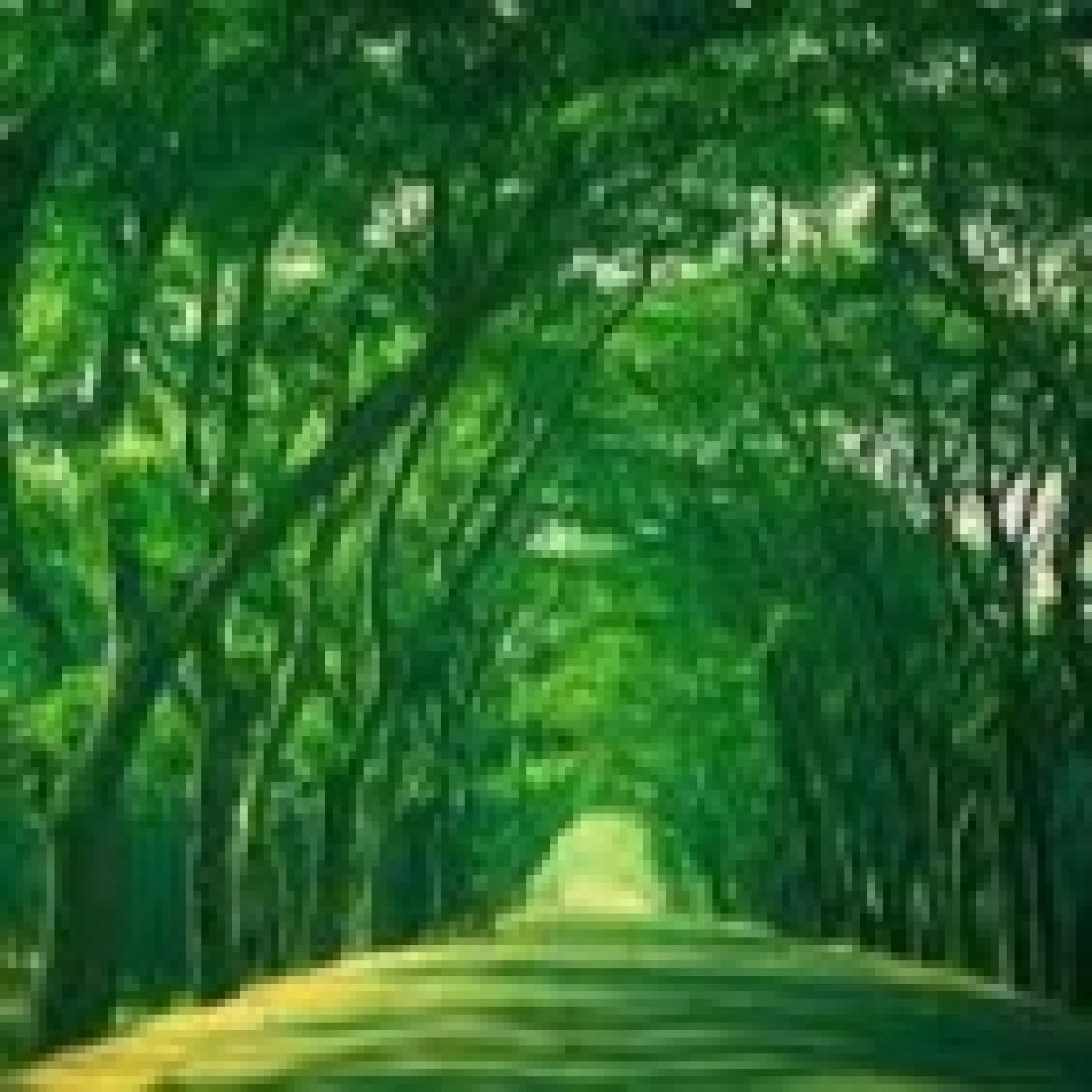 Una Vida Plena -EPISTEME