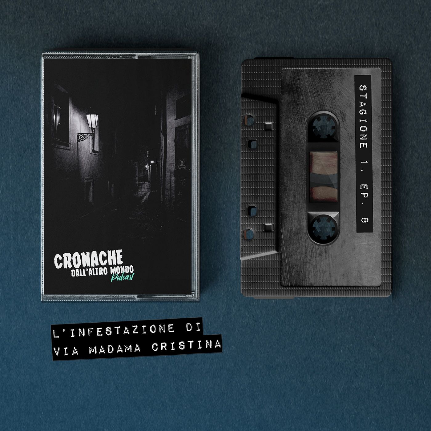 L'infestazione di via Madama Cristina L'infestazione di via Madama Cristina